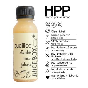 BudilicaHPP Budilica HPP